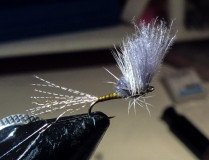 FullSizeRender_1-3