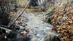 20181028_160749