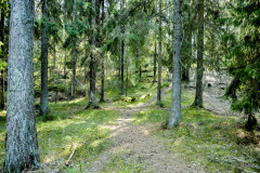 Sjon_00018