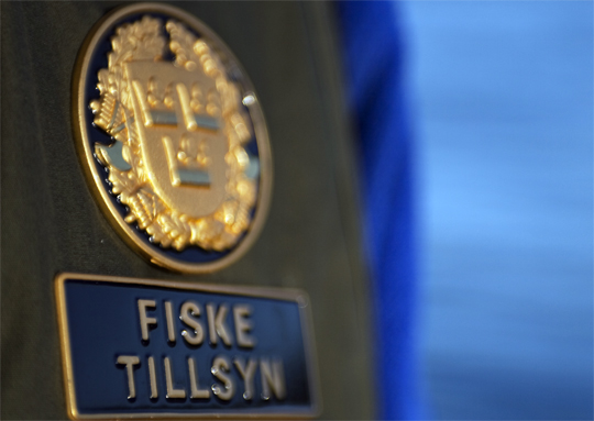 Fisketillsynsman